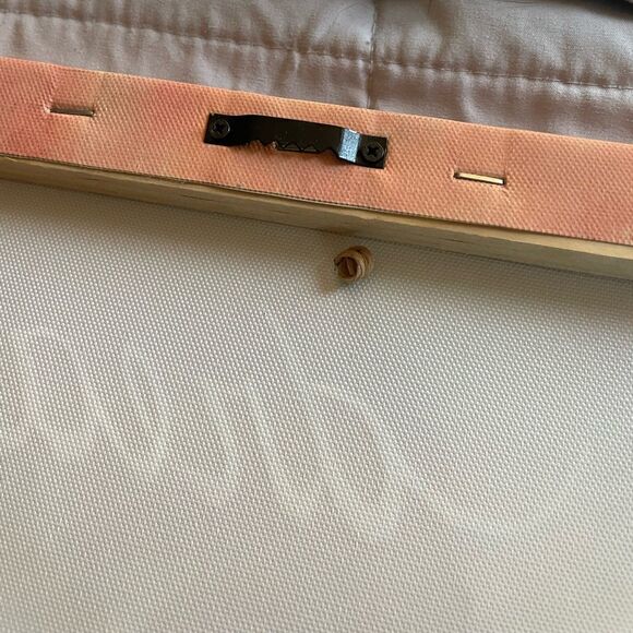 Thin canvas art perfect for girls room! - Picture 4 of 8